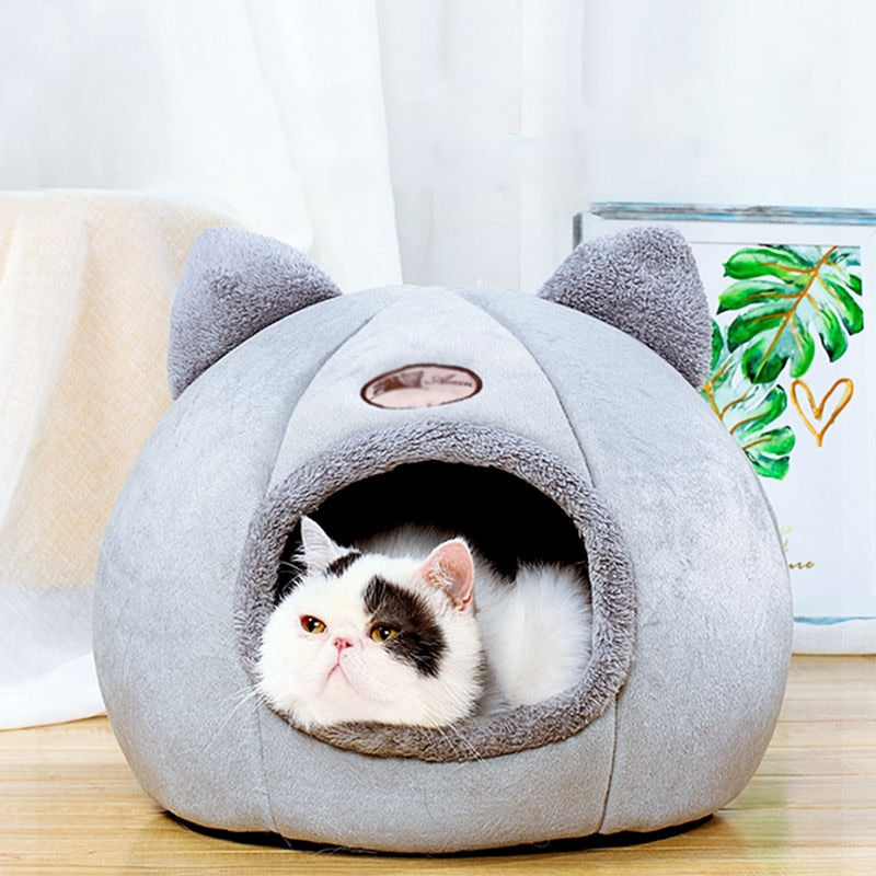 Cama Confortável para Gatos